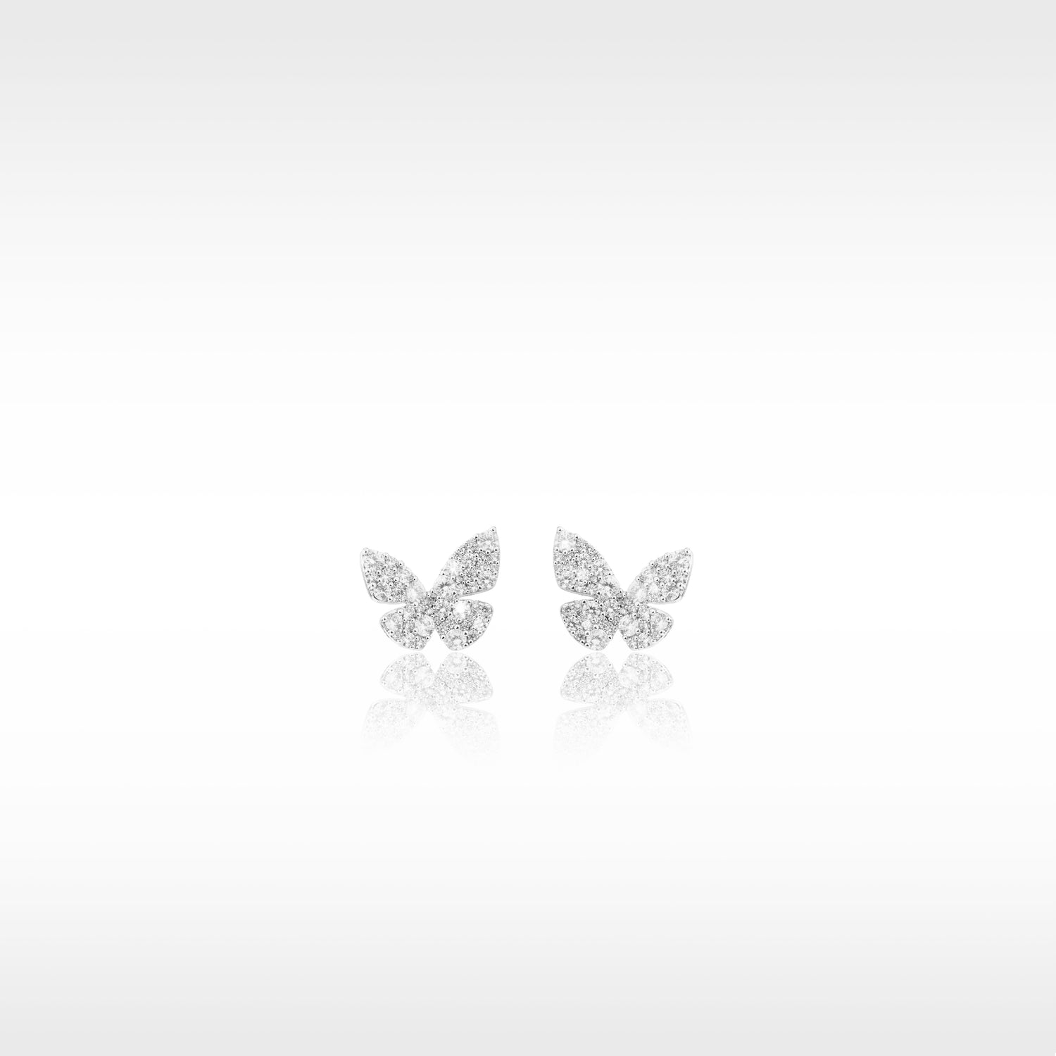 Ode to Butterflies