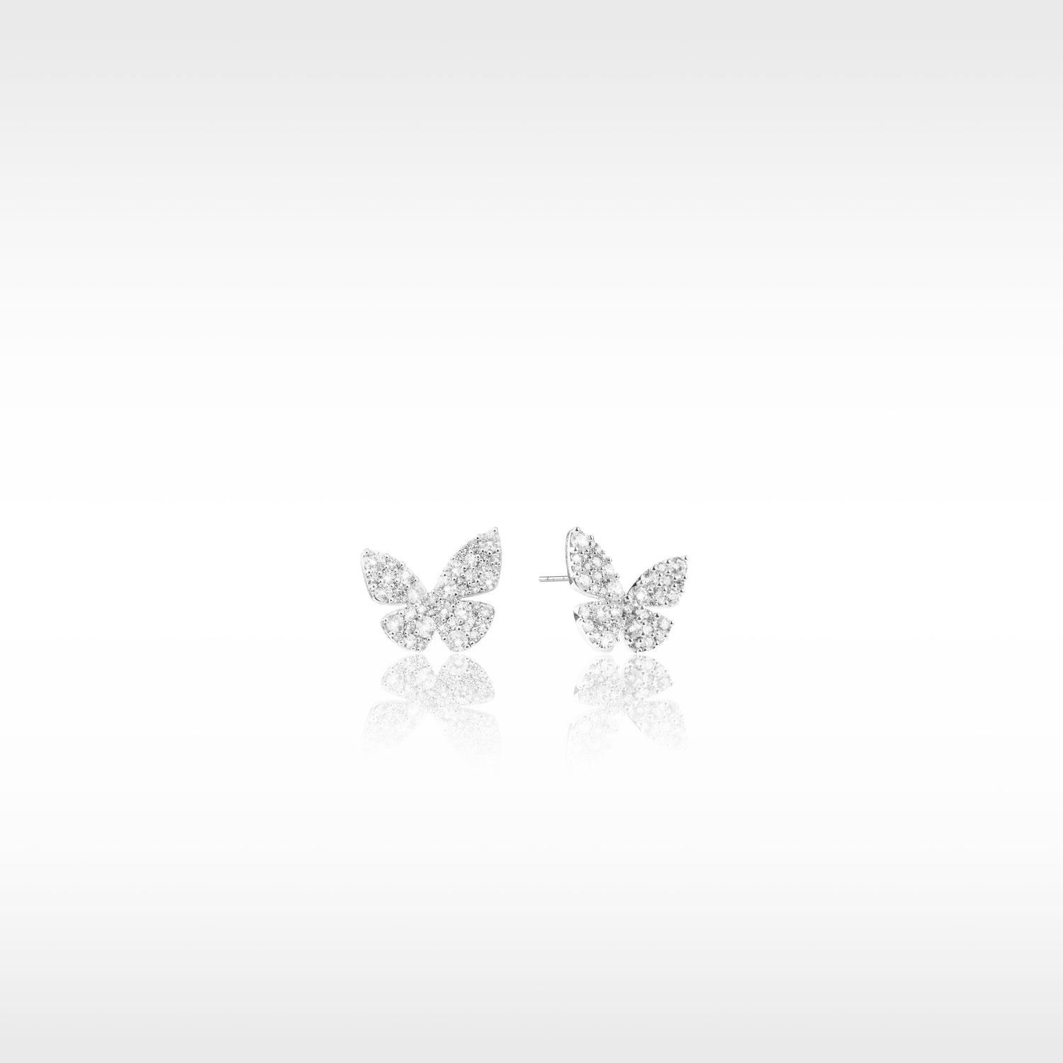 Ode to Butterflies